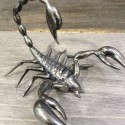 Scorpion réèl en verre