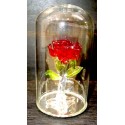 Rose sous globe en verre