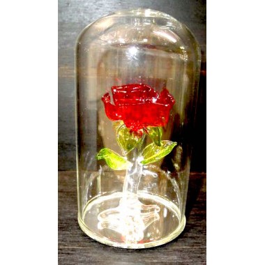 Rose sous globe en verre
