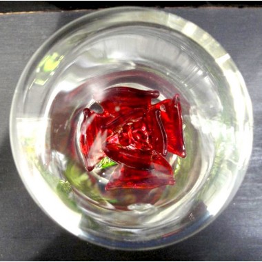 Rose sous globe en verre