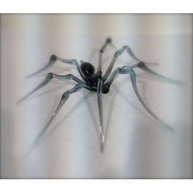 Araignée rayée en verre