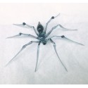 Araignée rayée en verre