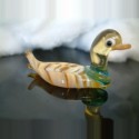 Canard rayé en verre