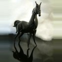 Cheval étalon en verre